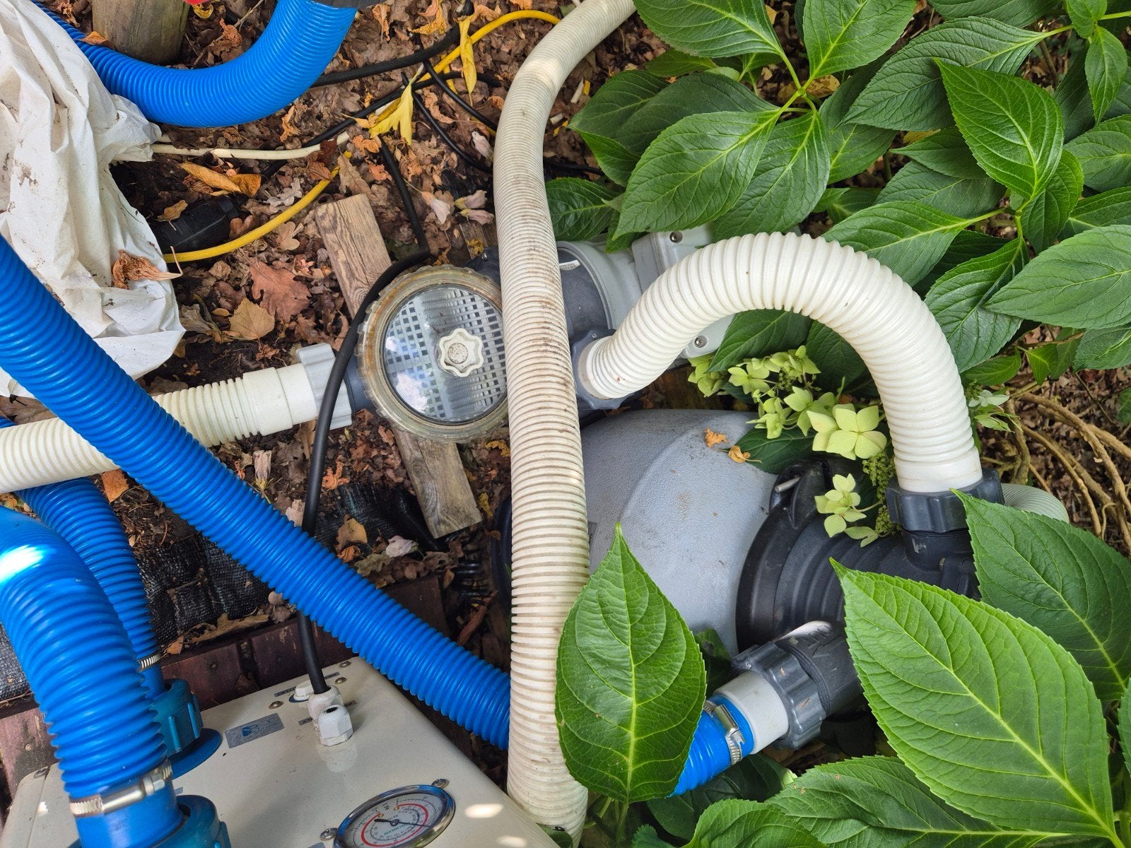 INTEX waterfilter voor zwembad, Ophalen