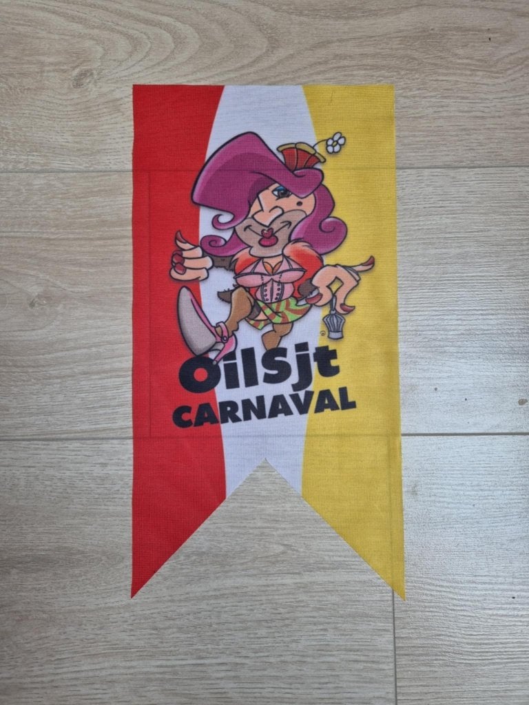 Carnaval Aalst wimpel 't Reigert, Ophalen of Verzenden