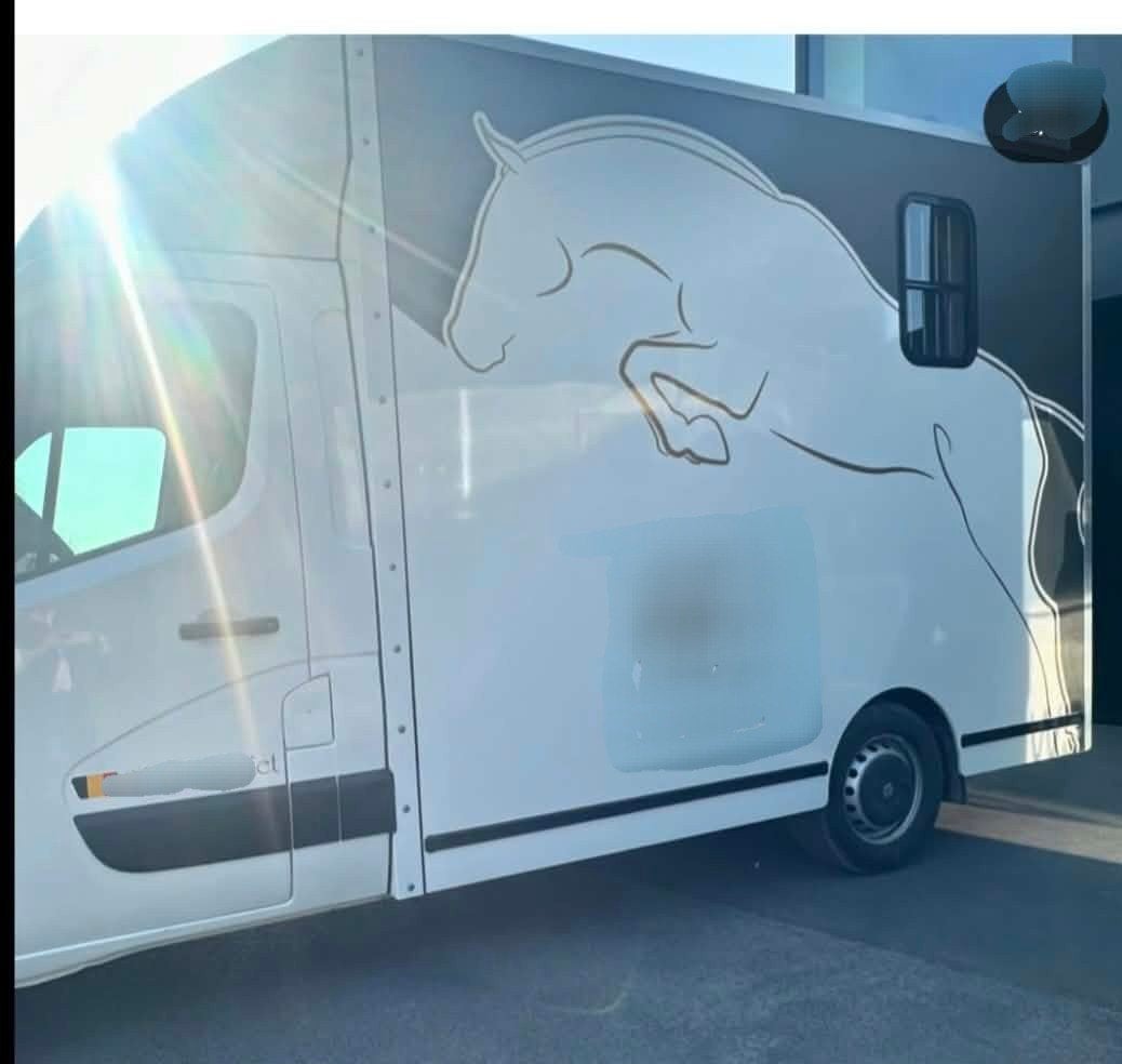 Renault Master paardencamionette, Dieren en Toebehoren, Ophalen, Zo goed als nieuw, Overige materialen, Overige typen