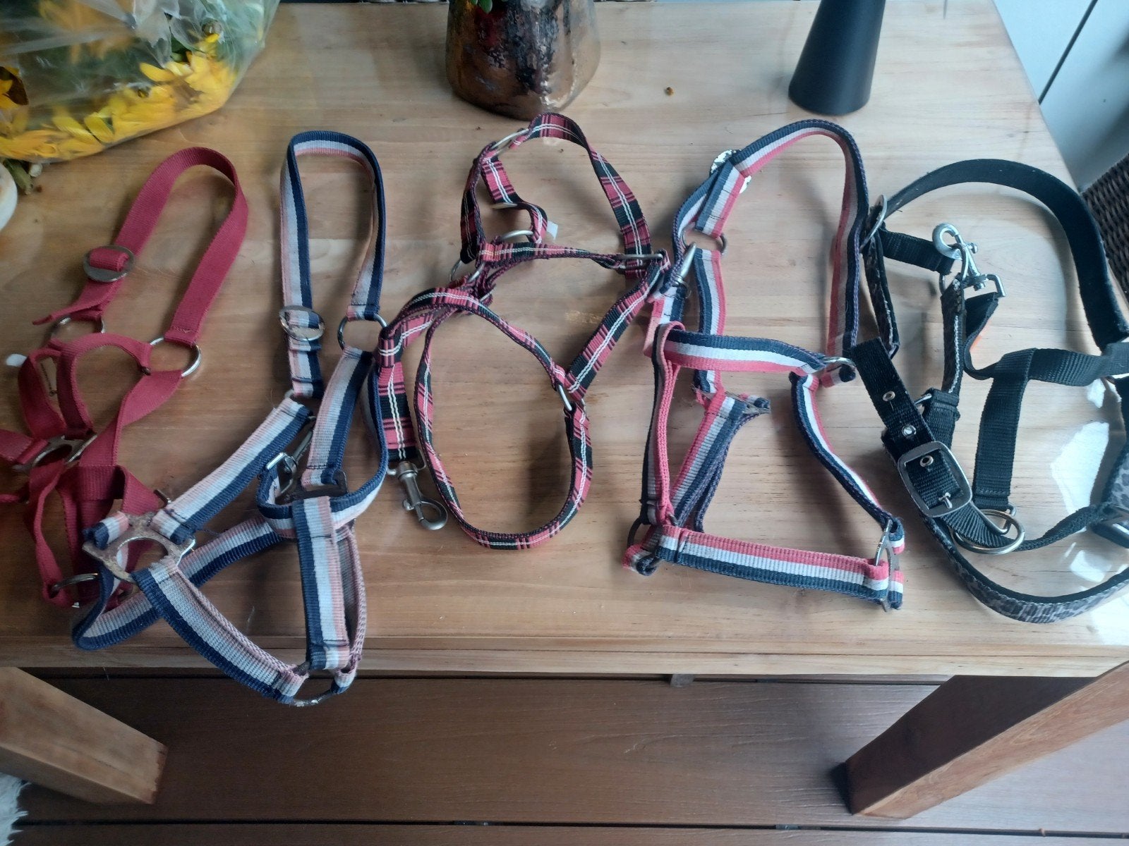 5 halsters, Ophalen of Verzenden, Pony