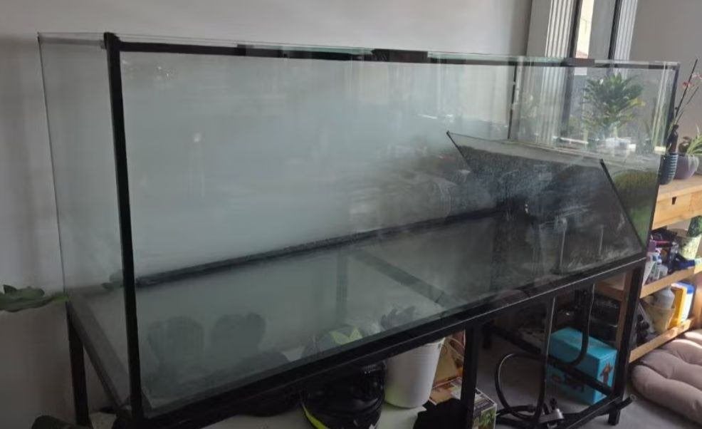 Uniek groot aquarium - terrarium - waterschildpaddenbak, Dieren en Toebehoren, Ophalen, Gebruikt, JBL, Inclusief planten