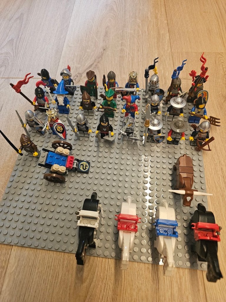 LEGO Castle / Pirates Minifiguren & Dieren - Collectie, Kinderen en Baby's, Ophalen of Verzenden, Zo goed als nieuw, Lego, Castle