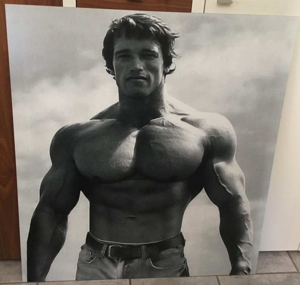 Fotokader Arnold Schwarzenegger, Ophalen, Zo goed als nieuw
