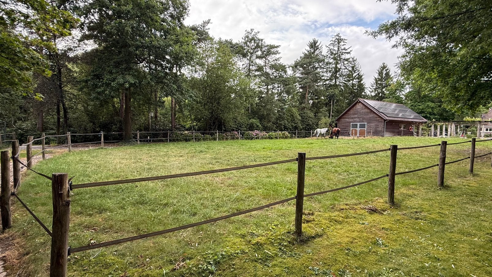 Stal te huur Westmalle Geen dominant paard!, Weidegang, 2 of 3 paarden of pony's