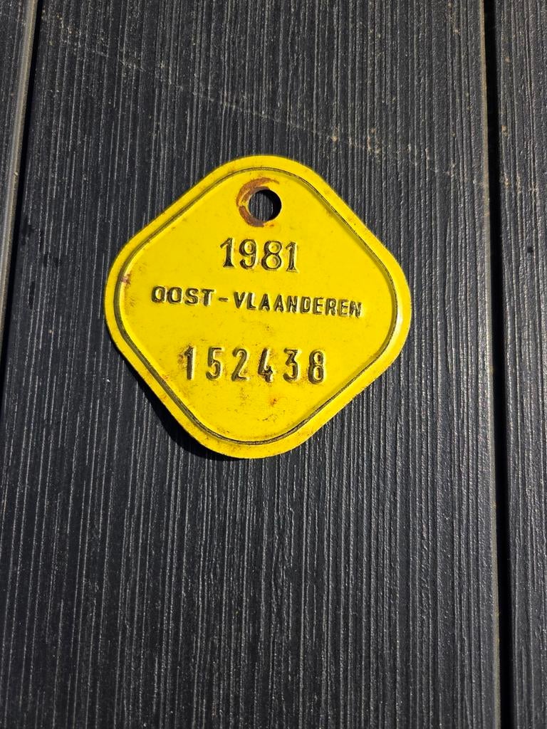 Vintage fietsplaatje 1981 – Oost-Vlaanderen, Verzamelen, Retro, Ophalen of Verzenden