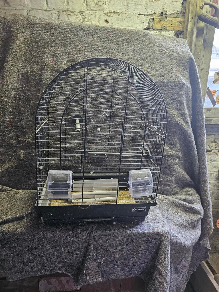 Vogelkot, Enlèvement