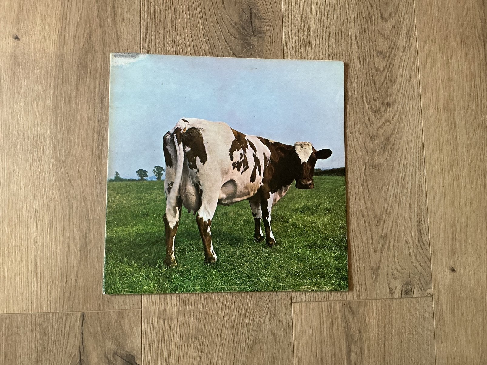 Eerste Britse uitgave Pink Floyd Atom Heart Mother, Ophalen, LP, Beschermende buitenhoes, Progressive Rock