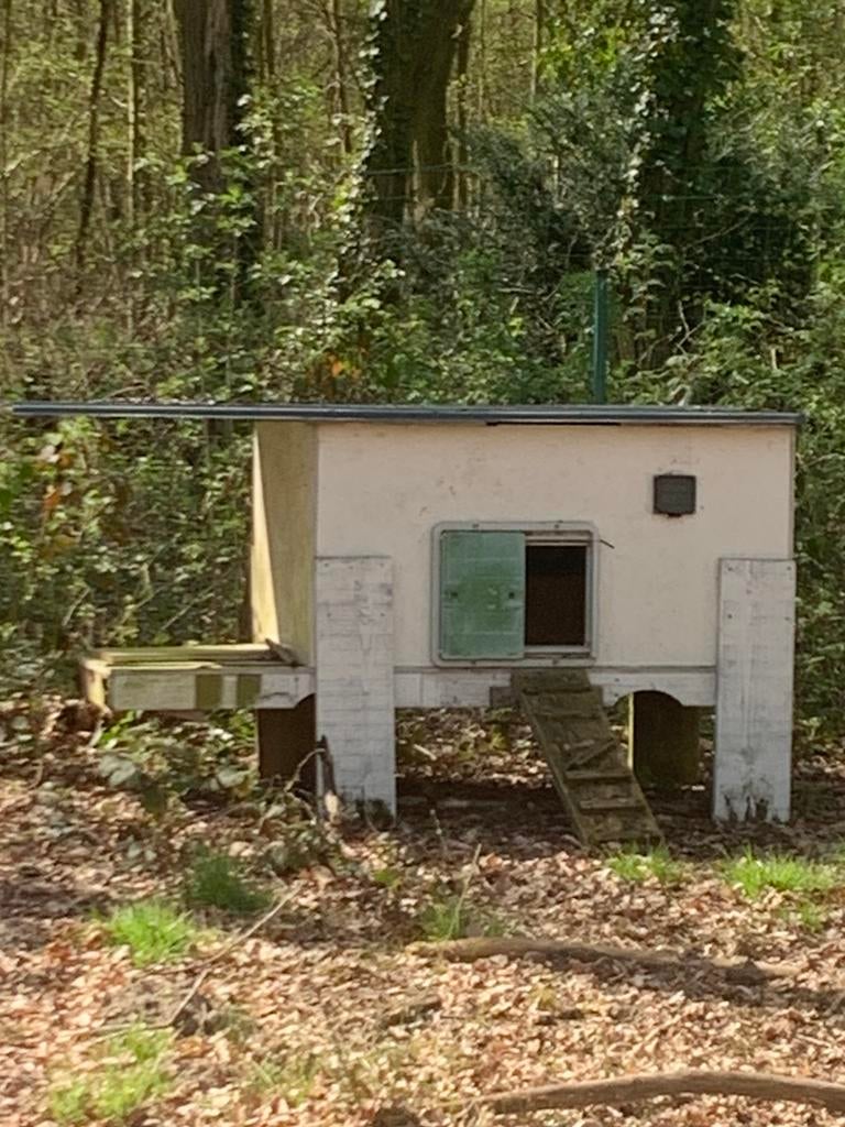 Groot kippenhok met automatisch deuropener, Dieren en Toebehoren, Ophalen, Zo goed als nieuw
