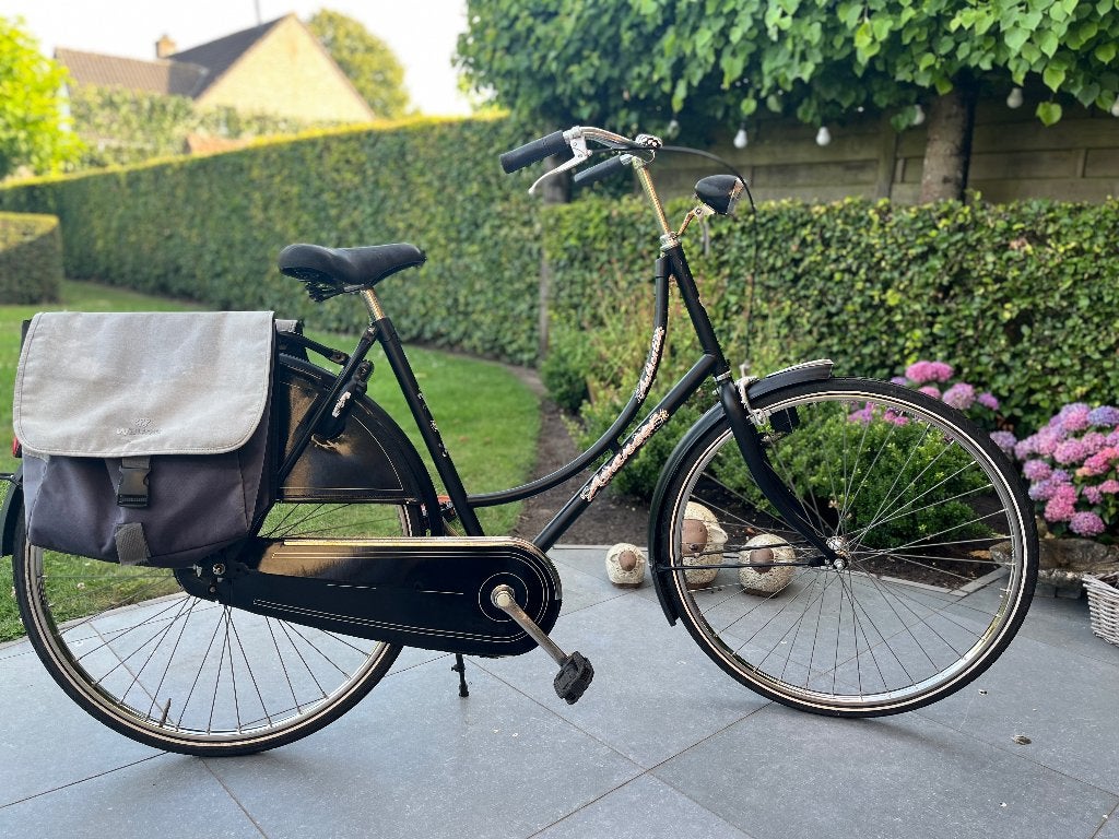 Omafiets, Ophalen, Gebruikt, Terugtraprem, Handrem