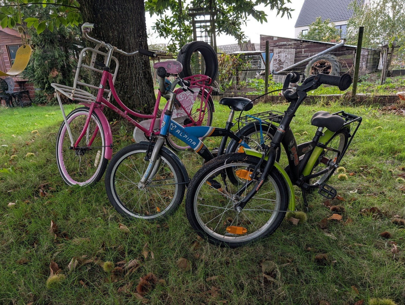 3 opknapper kinderfietsen, Enlèvement