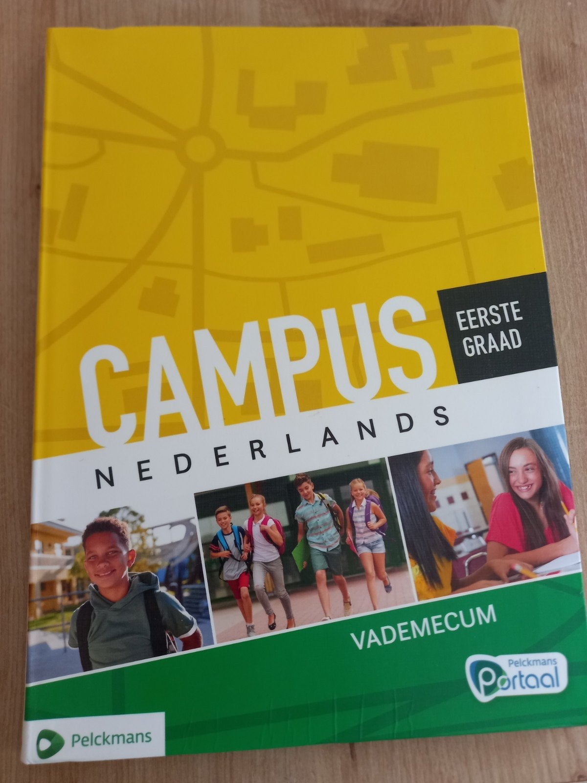 Campus Nederlands Vademecum eerste graad, Livres, Livres scolaires, Enlèvement, Néerlandais