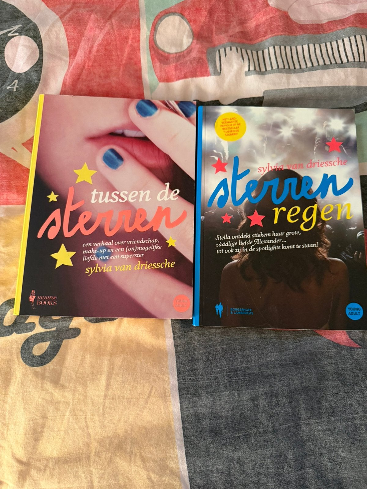 2 boeken sylvia van den driessche, Boeken, Ophalen of Verzenden, Zo goed als nieuw