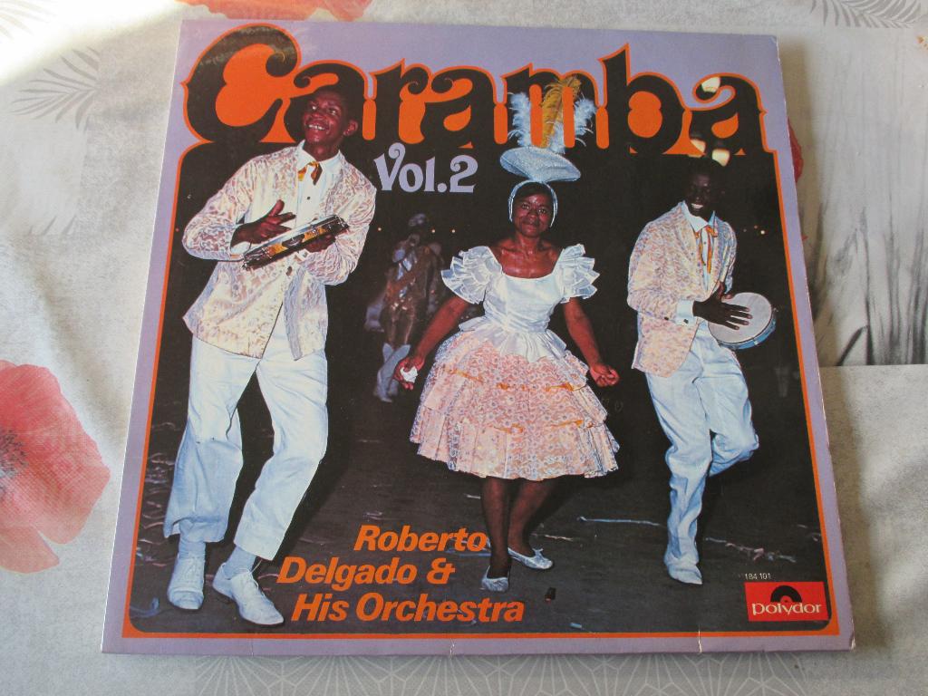 vinyl Roberto Delgado & His Orchestra, Enlèvement ou Envoi, Utilisé