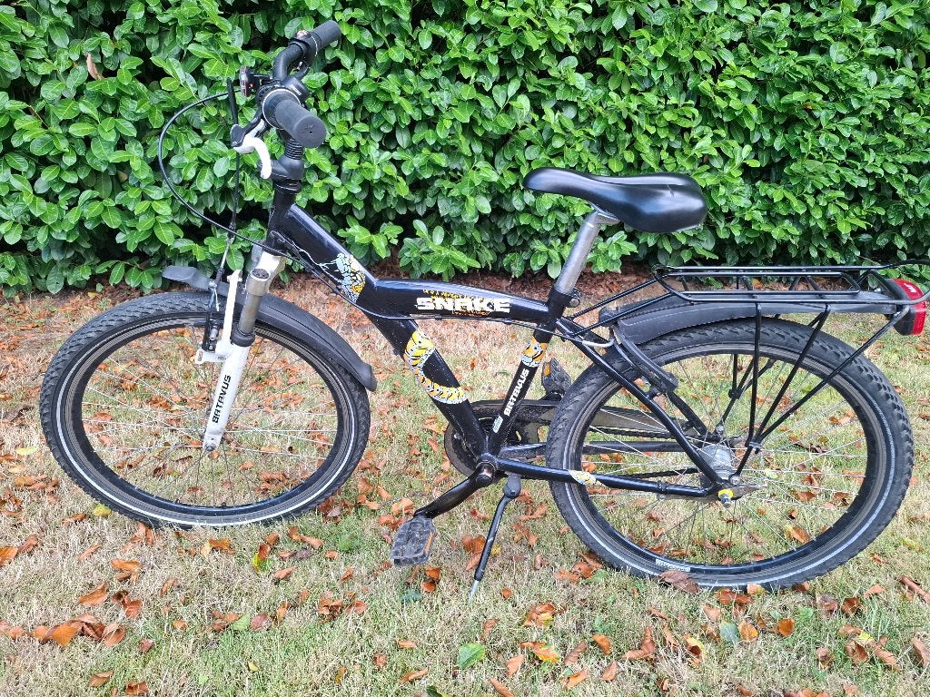 Batavus snake kinderfiets, Fietsen en Brommers, Ophalen, Versnellingen, Schijfrem, BATAVUS