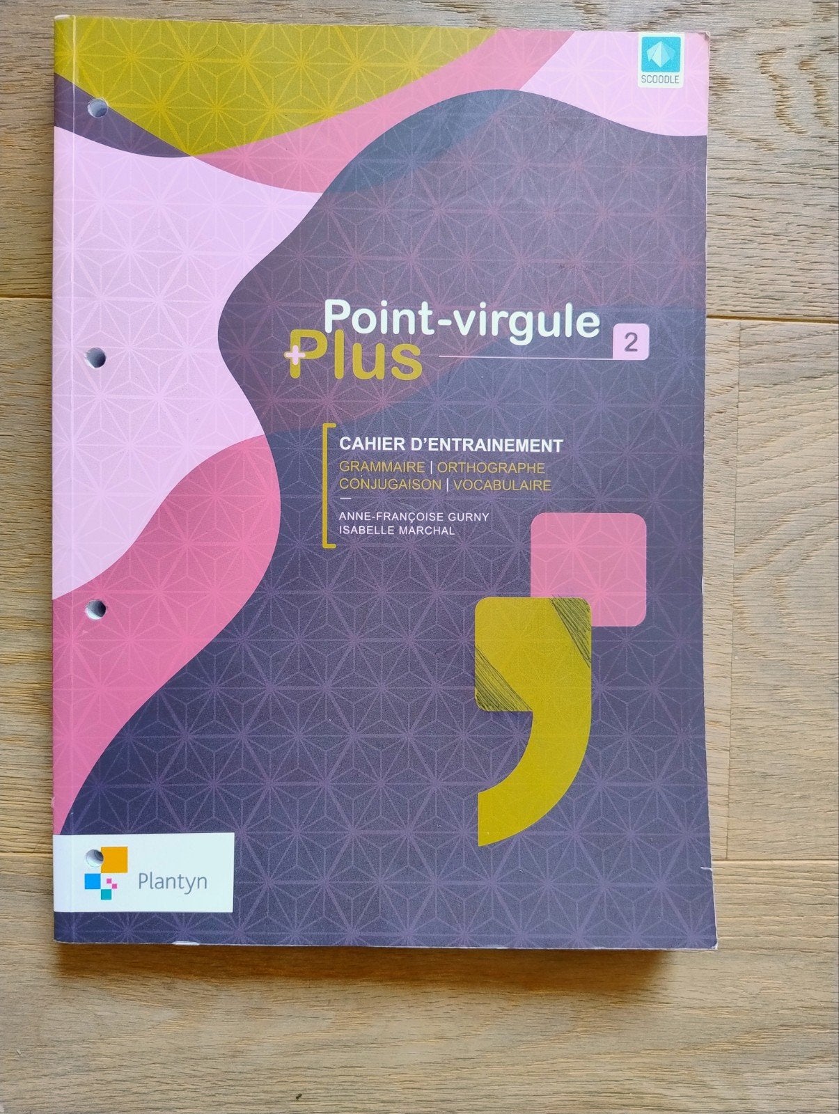 Point Virgule 2ème secondaire cahier d'entraînement vierge, Livres, Neuf, Plantyn, Français, Enlèvement