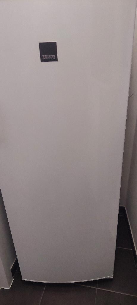 Frigo, Elektronische apparatuur, Koelkasten en IJskasten, Ophalen, 200 liter of meer, 140 tot 160 cm, 45 tot 60 cm