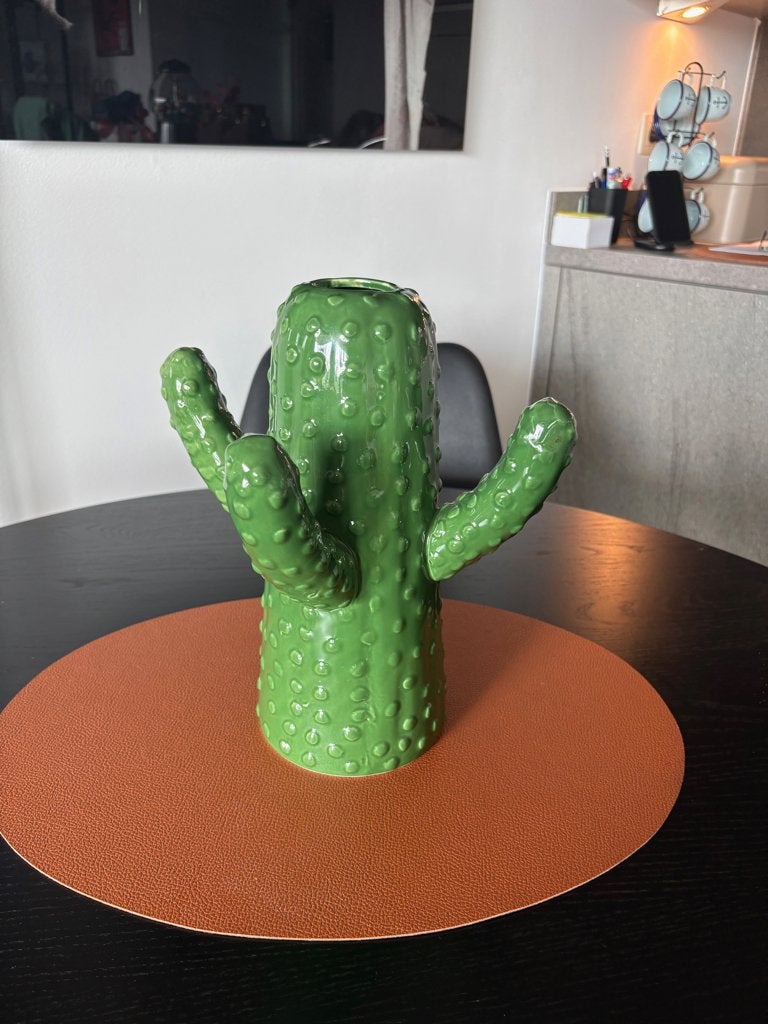 Deco cactus, Ophalen, Nieuw, Groen, Steen/keramiek