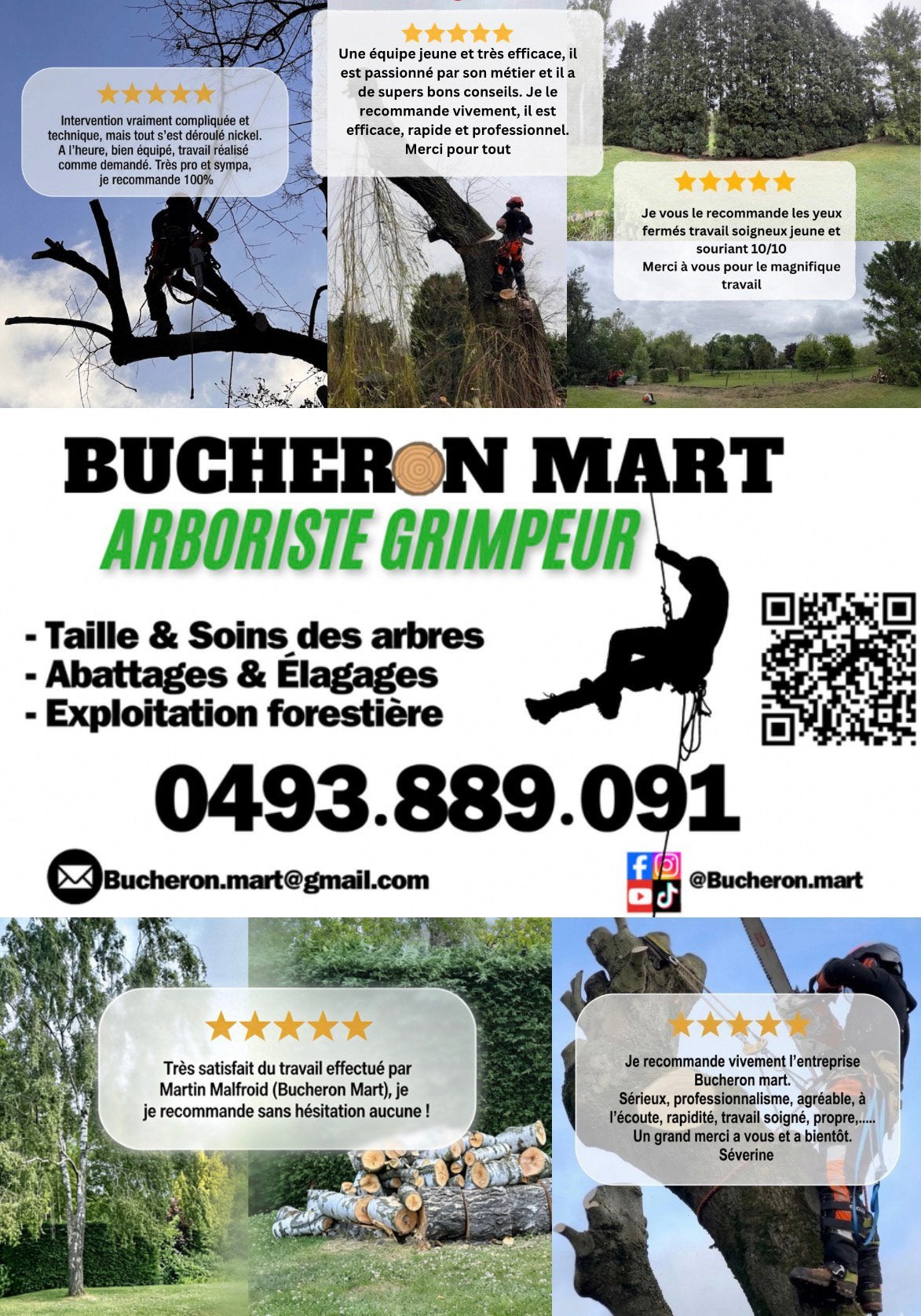 Abattage élagage DEVIS GRATUIT, Enlèvement, Comme neuf