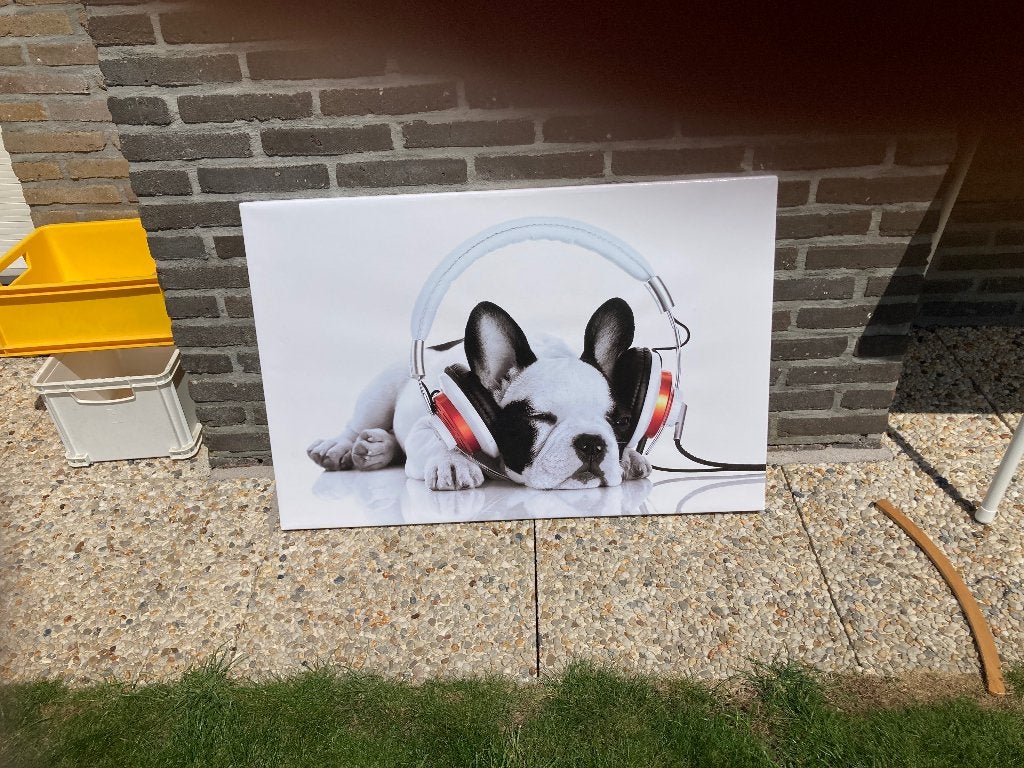 Canvas met hond erop, Enlèvement, Comme neuf