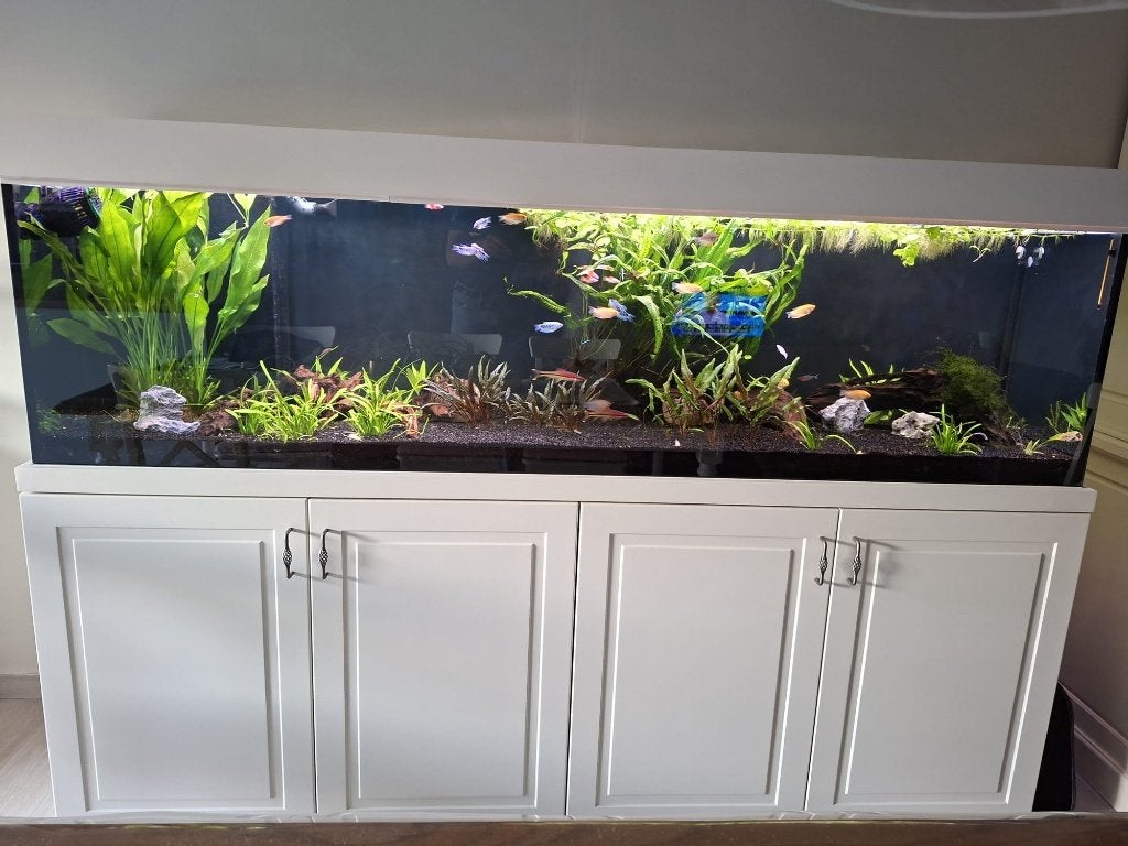 Aquarium Aqualife, Dieren en Toebehoren, Ophalen, Gebruikt, Overige merken, Gevuld zoetwateraquarium