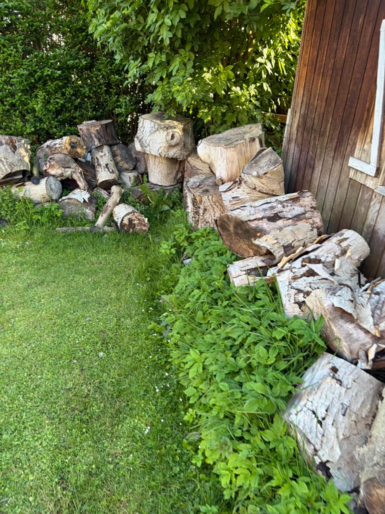 Bois a donné, Enlèvement, Troncs d'arbres