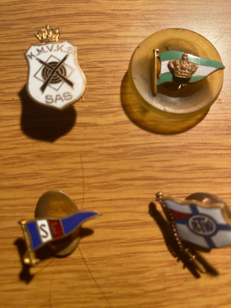 pins, Ophalen of Verzenden, Gebruikt, Overige onderwerpen, Button
