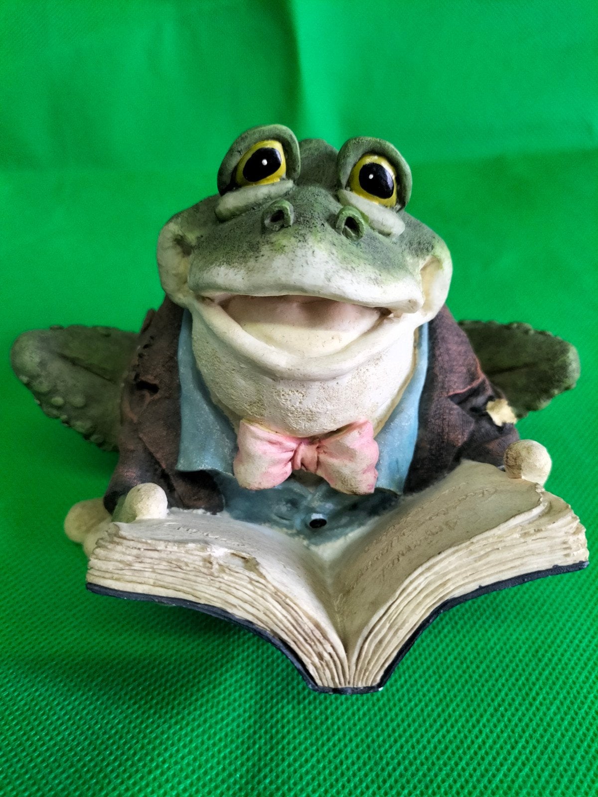 kikker voorlezer, Ophalen, Nieuw, Dier