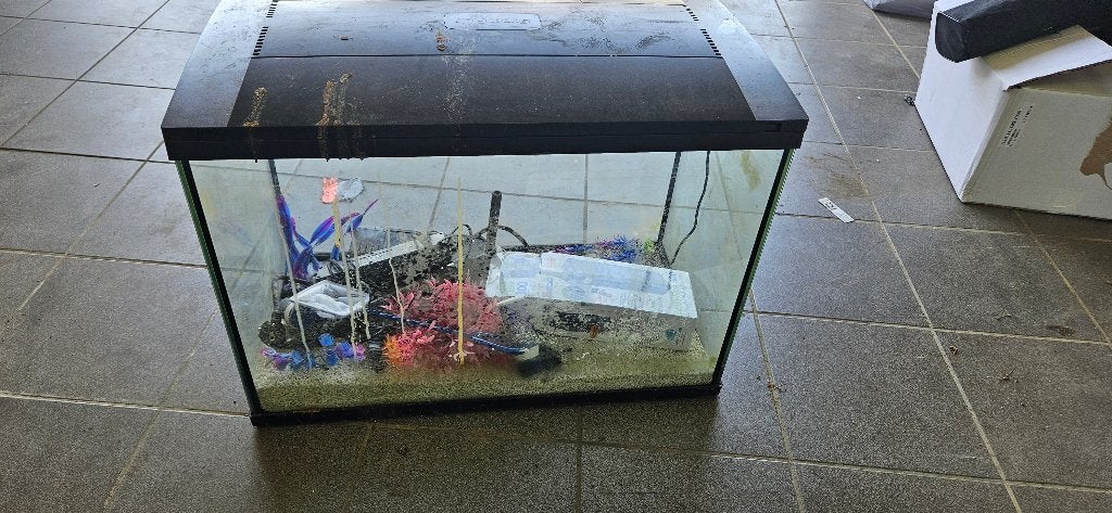 Aquarium, Ophalen, Inclusief deksel, Gebruikt, Leeg aquarium