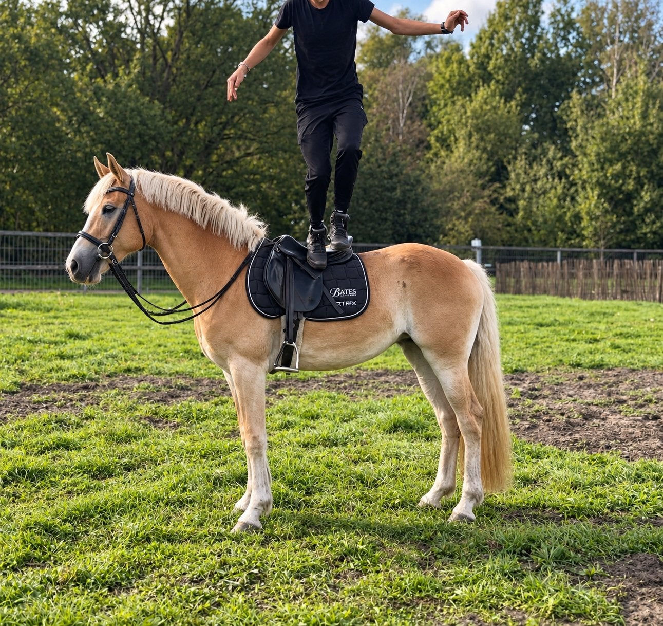SUPER brave 3,5 jarige Haflinger merrie met Stamboom, Animaux & Accessoires, B, Avec pedigree, Moins de 160 cm, Cheval de récréation
