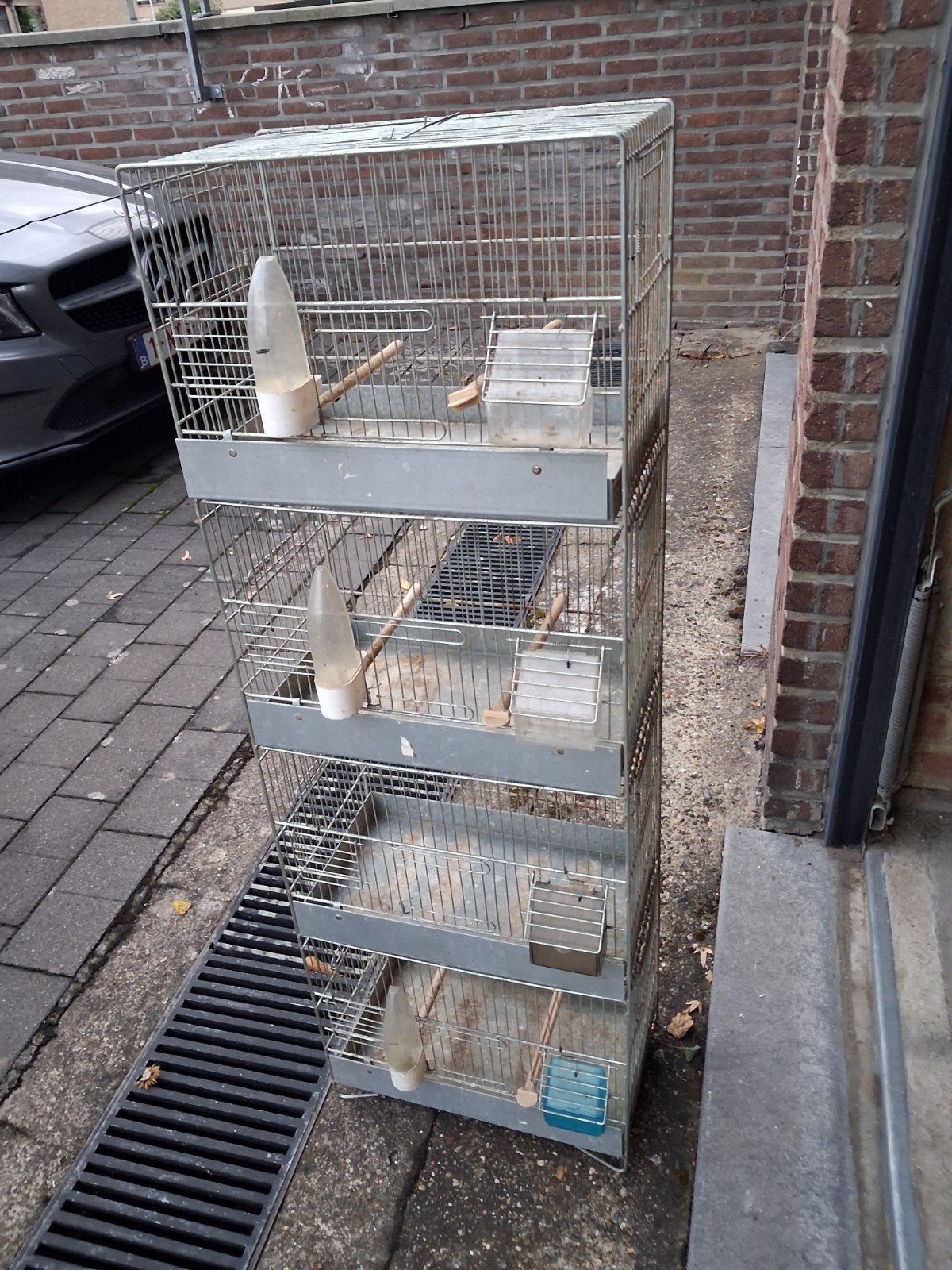 vogelkooi torenkooi, Enlèvement ou Envoi, Cage à oiseaux