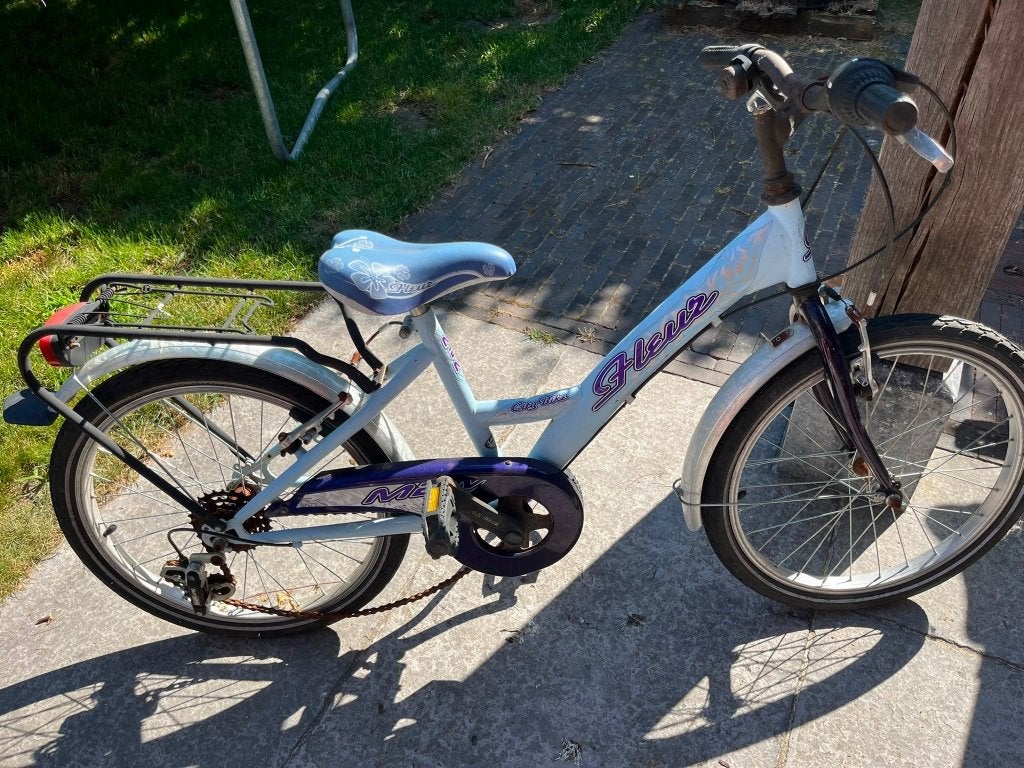Meisjesfiets, Fietsen en Brommers, Ophalen, Gebruikt, 20 inch