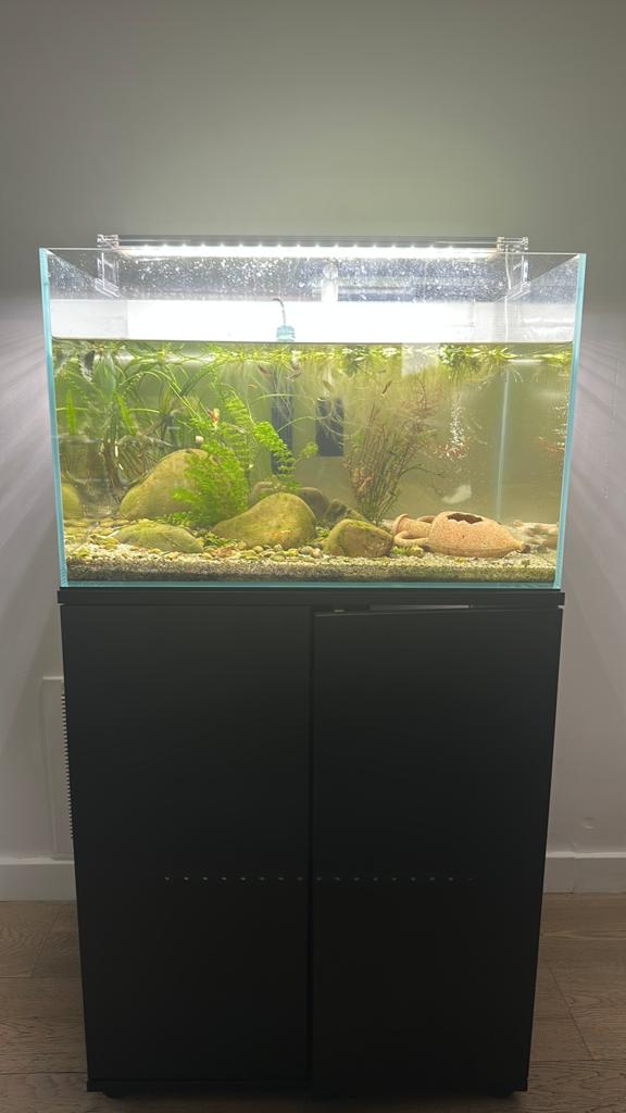 Aquarium te koop, Enlèvement, Comme neuf