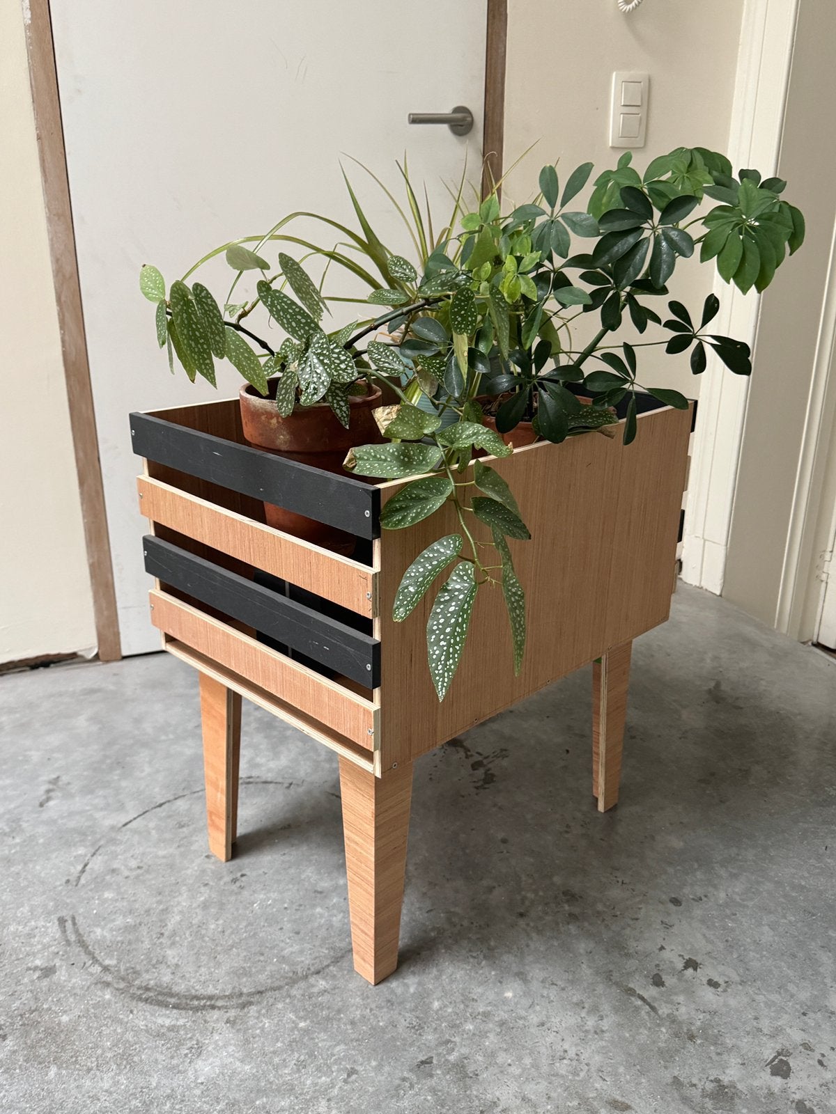 Opberger in plywood, Enlèvement, Comme neuf