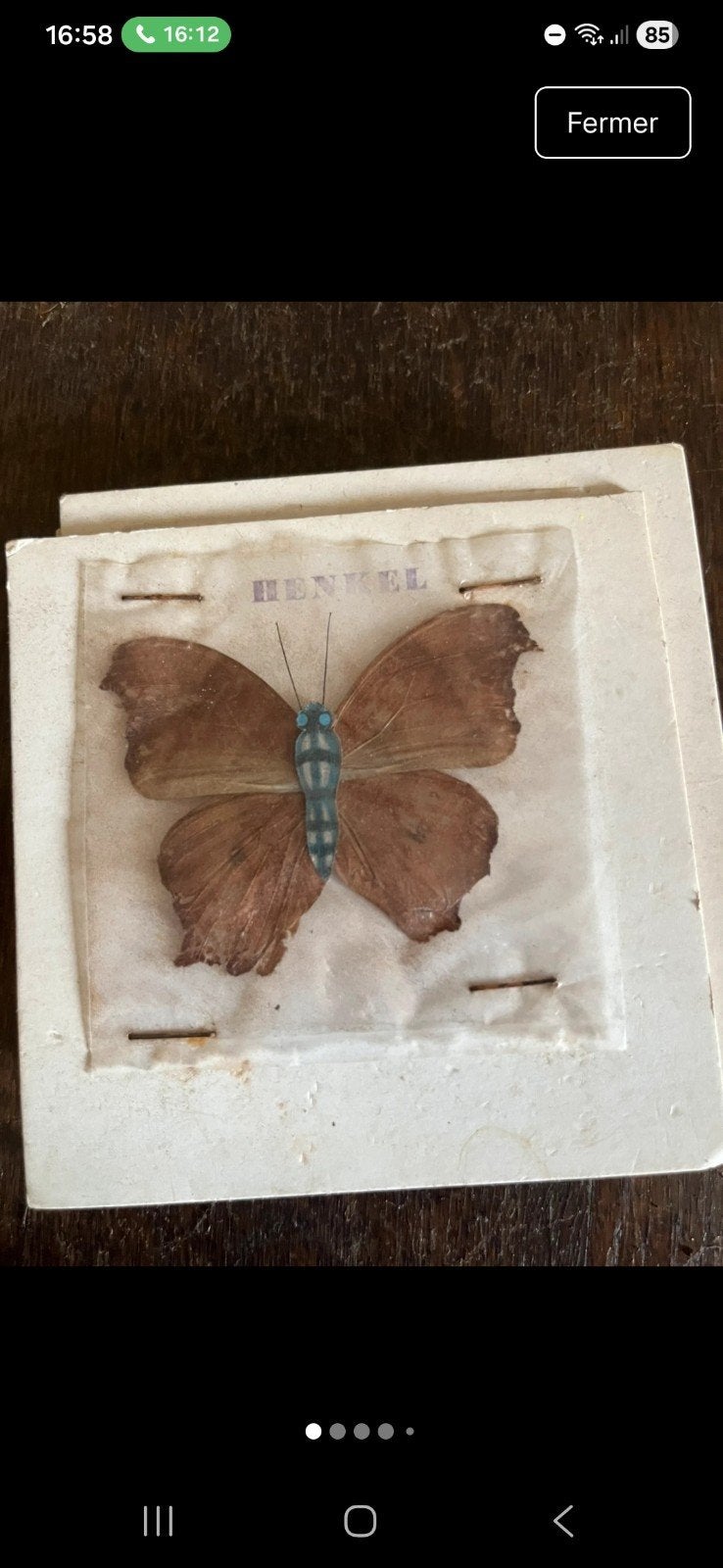 images d'entomologie "henkel Papillons