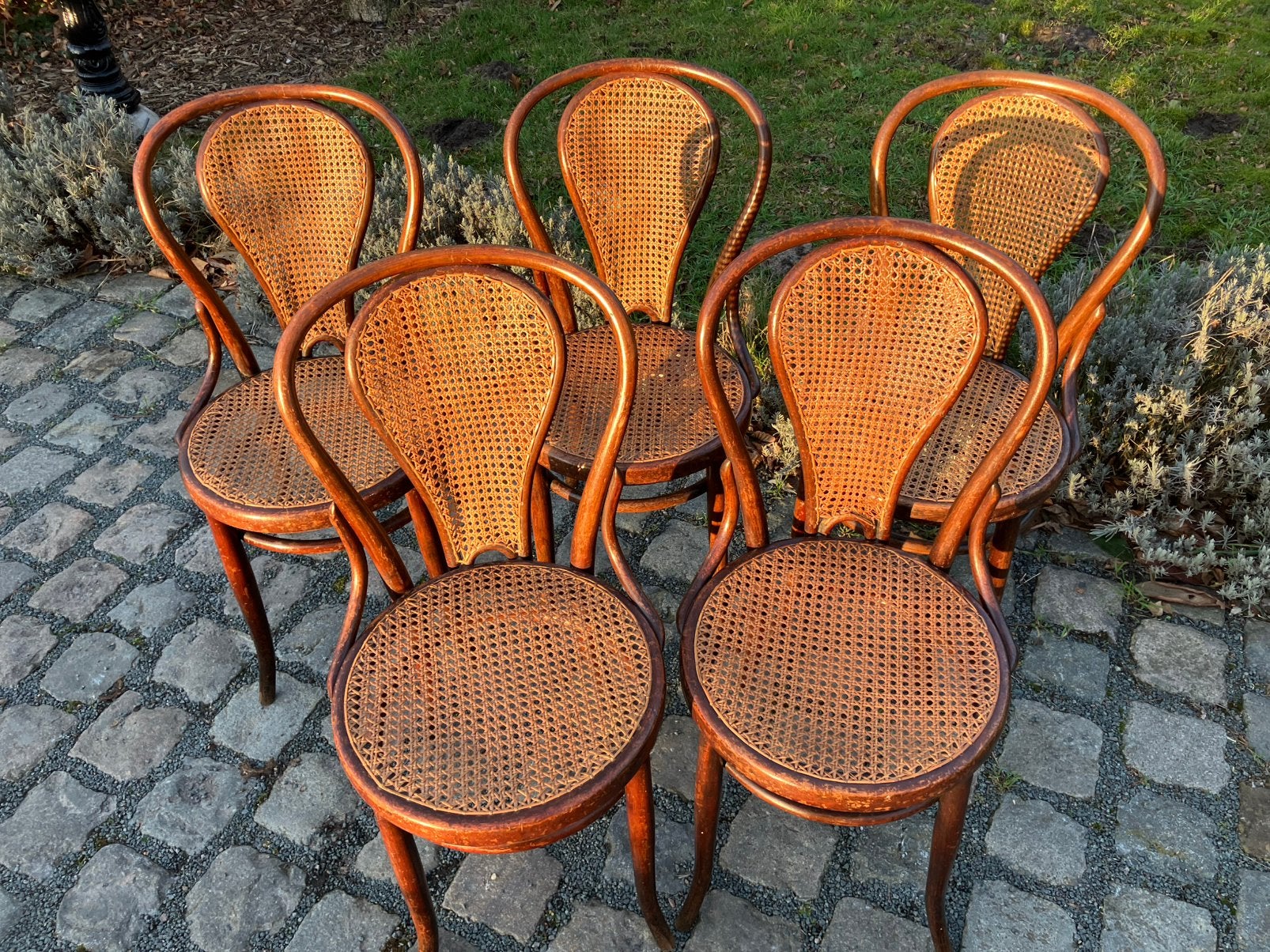 5 Originele Thonet stoelen uit 1920 ontwerp Josef Hoffmann!, Ophalen