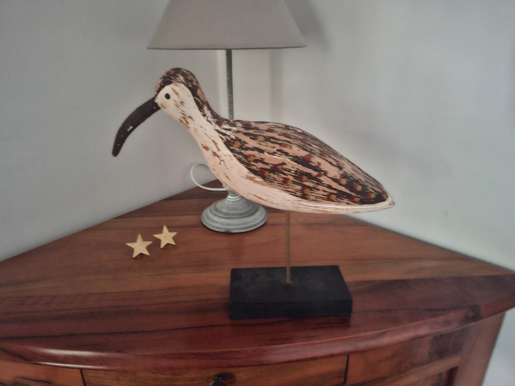 Houten vogel:Regenwulp, Antiek en Kunst, Ophalen