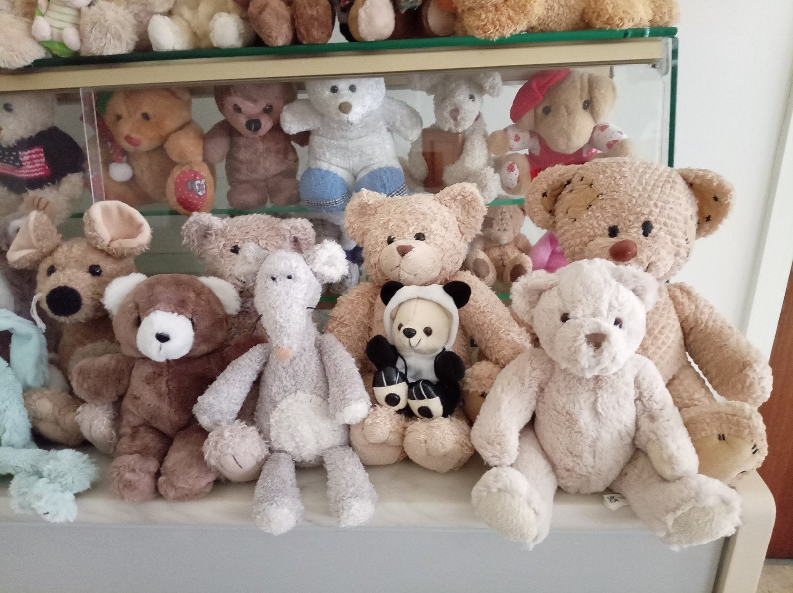 lot beren. 75 stuks, Collections, Enlèvement