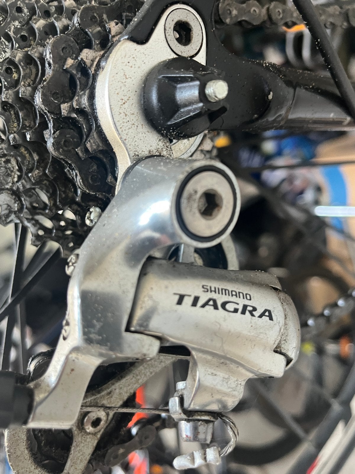 Zannata racefiets, Enlèvement