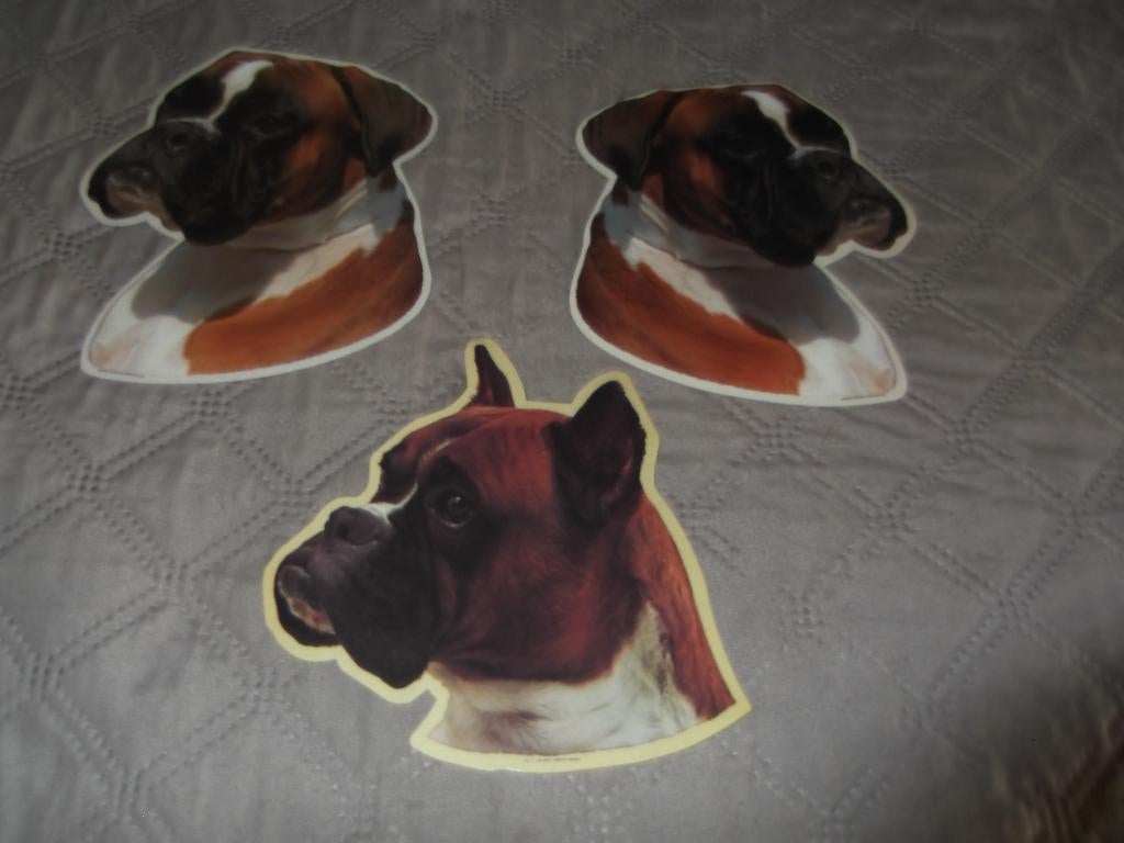 verschillende stickers van de boxer (ook apart te koop), Ophalen of Verzenden