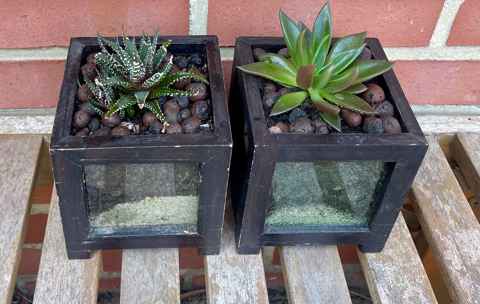 2 vetplanten in rustieke potjes, Huis en Inrichting, Kamerplanten, Ophalen, Vetplant, In pot, Minder dan 100 cm