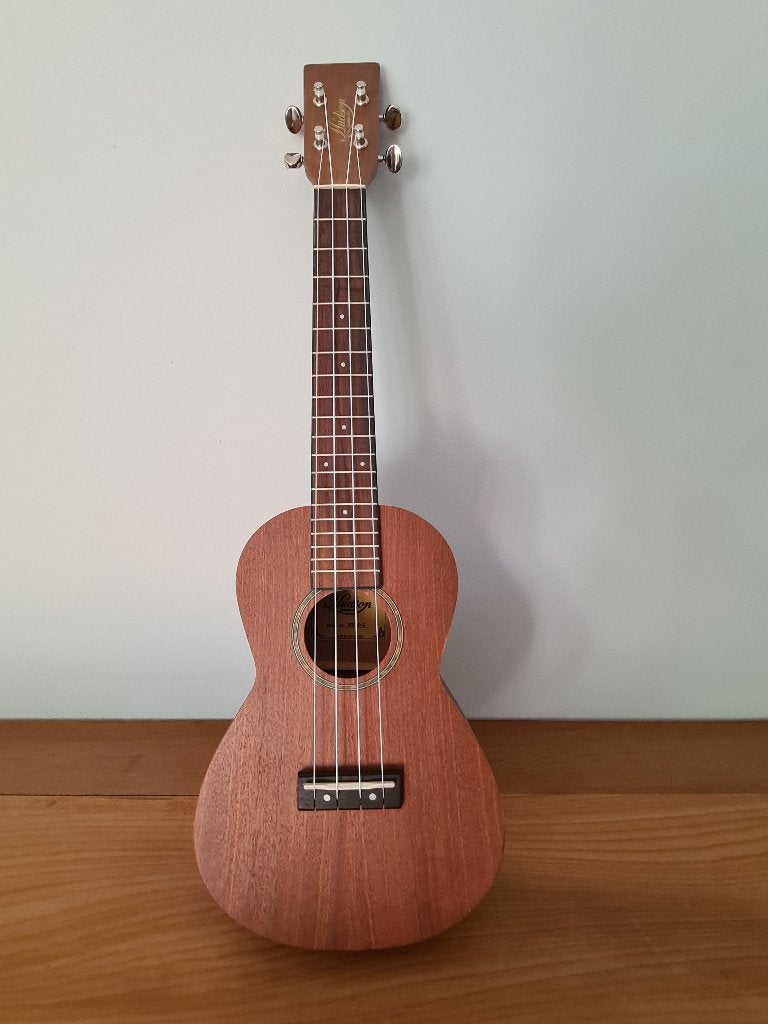 Ukulélé de concert Hudson HU10C + sac fourre-tout Stagg, Enlèvement, Comme neuf, Autres types
