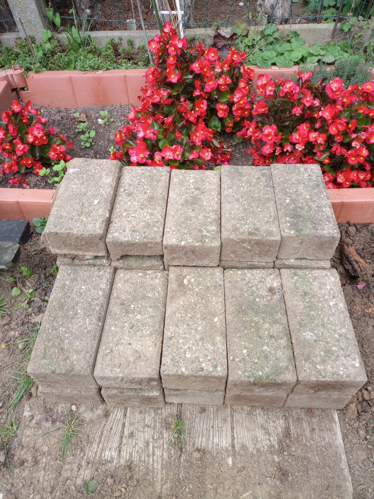 klinkers 30 stuks gratis af te halen in Leuven, Béton, Enlèvement, Utilisé, Briques