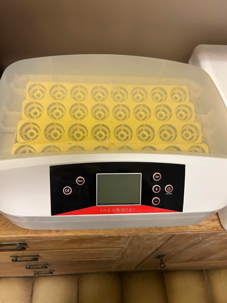 Broedmachine, incubator, Ophalen, Zo goed als nieuw, Broedmachine