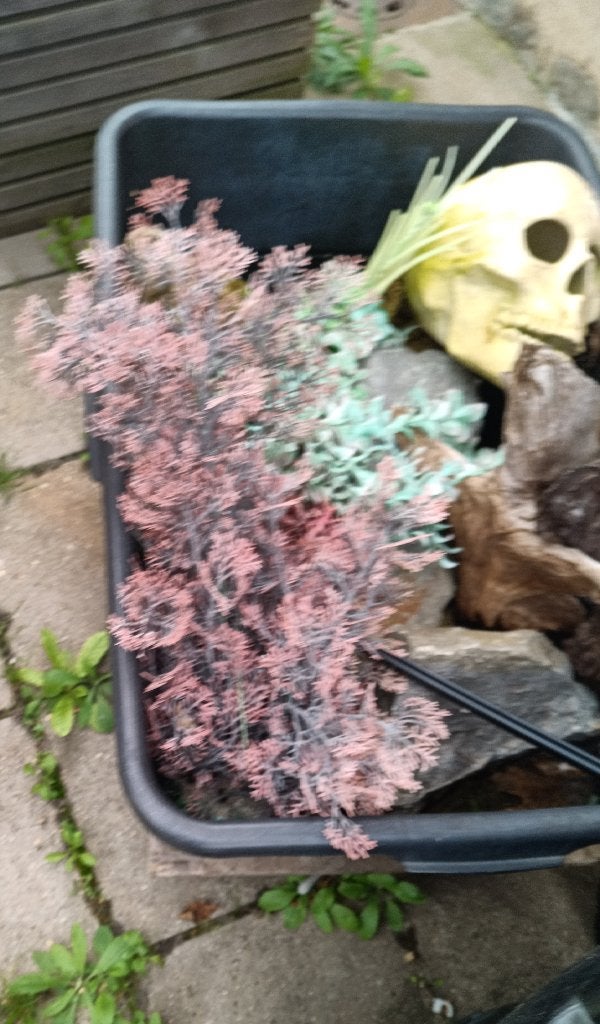 aquarium decoratie, Ophalen, Gebruikt, Decoratie