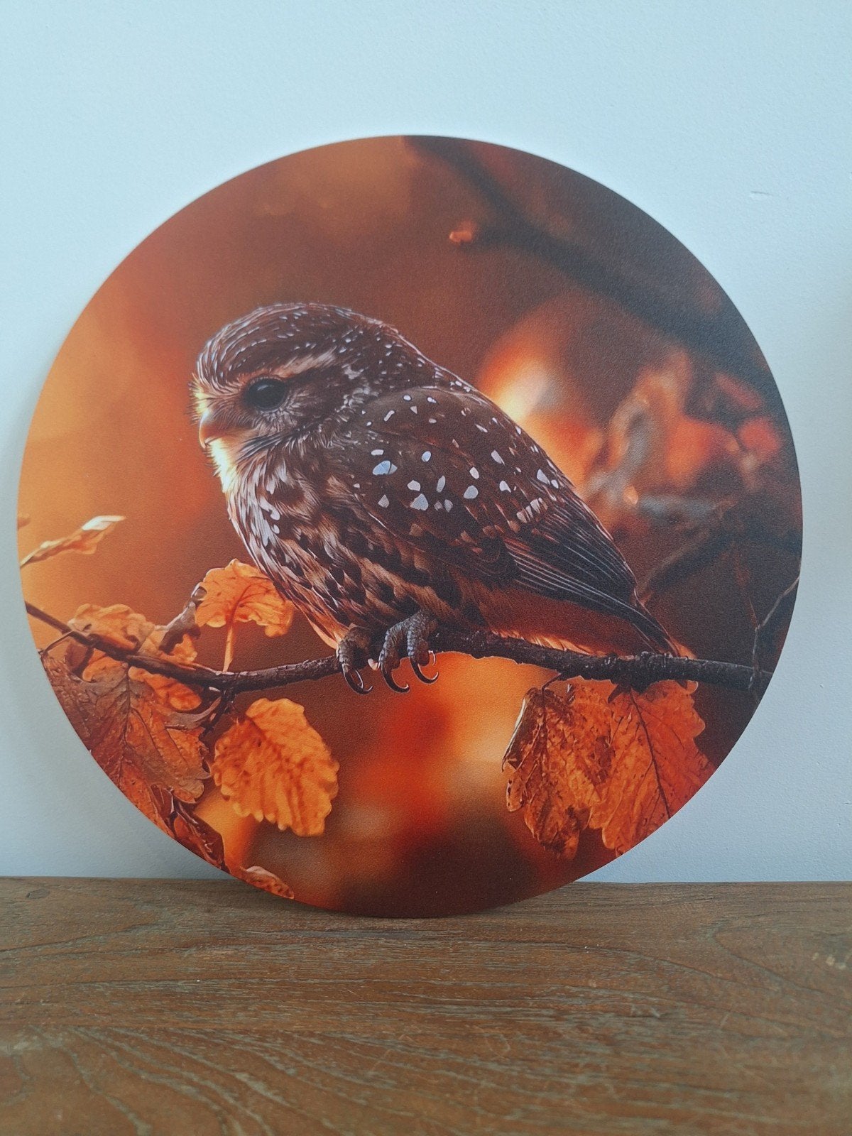 Wandcirkel baby uil, 25 cm, Nieuw, Ophalen of Verzenden, Wandcirkel
