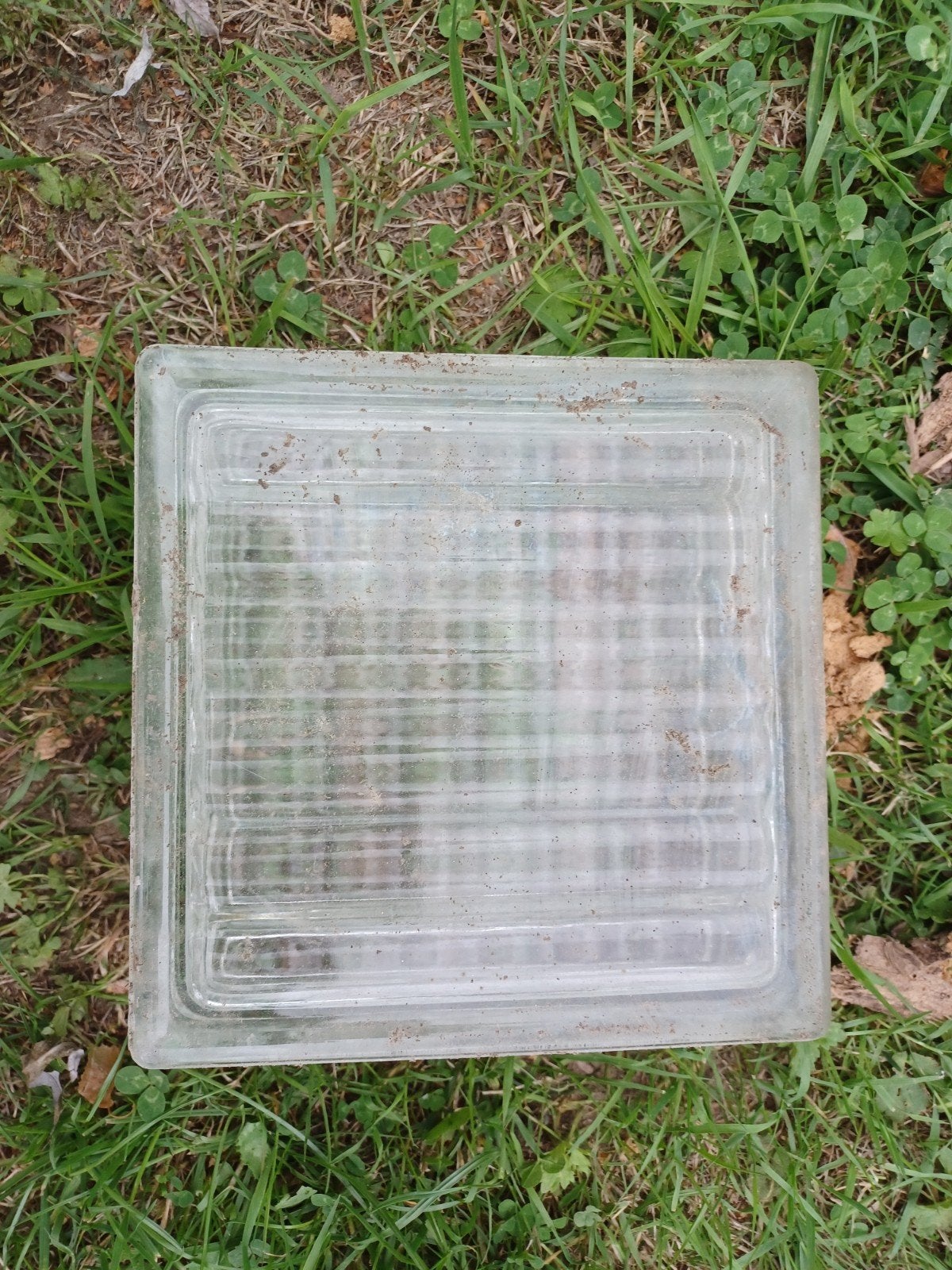 49 x glasdallen 19 x 19 cm + 2 met verluchtingsgaten, Enlèvement, Utilisé