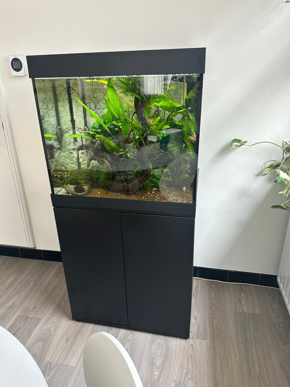 Juwel lido  200, Animaux & Accessoires, Comme neuf, Enlèvement, Juwel, Aquarium d'eau douce rempli