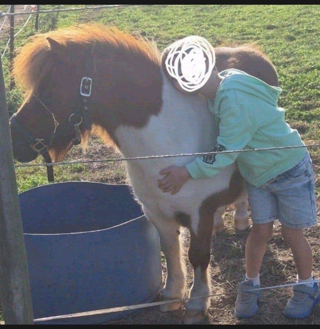 therapie pony van 14 jaar zoekt nieuwe thuis, Dieren en Toebehoren, Ruin, Zadelmak, A pony (tot 1.17m), Gechipt