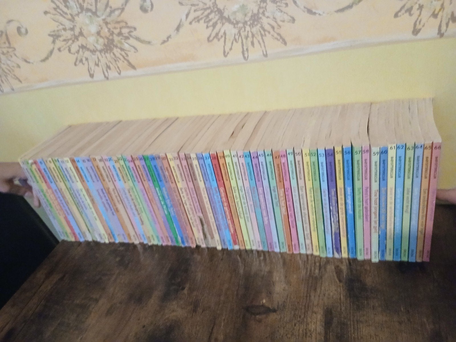 Volledige reeks " De babysittersclub" 66 boeken, Ophalen
