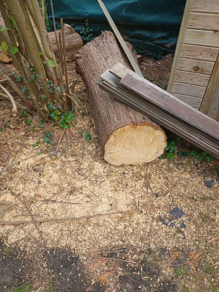 2 Kuub vers gerooide conifeer voor brandhout, Tuin en Terras, Verzenden